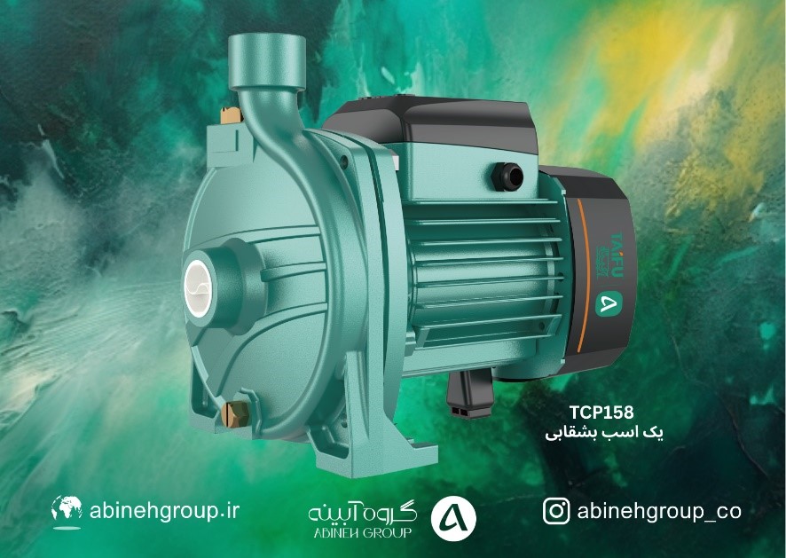 مپ تایفو یک اسب بشقابی tcp158